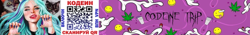 закладки  Катав-Ивановск  блэк спрут как зайти  Кодеин Purple Drank 