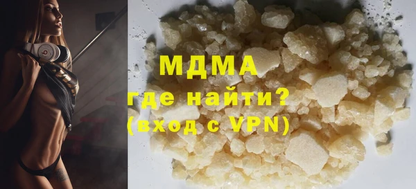шишки Няндома