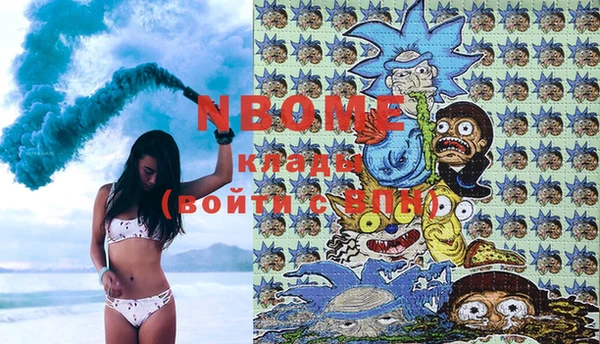 шишки Няндома