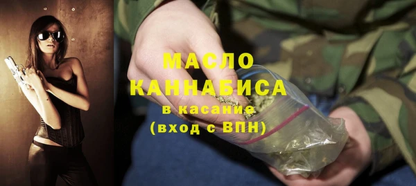 шишки Няндома