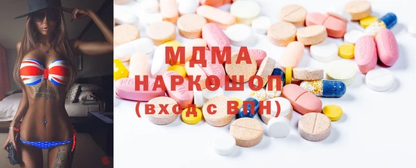 шишки Няндома
