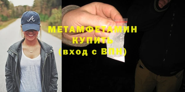 шишки Няндома