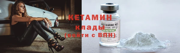 шишки Няндома