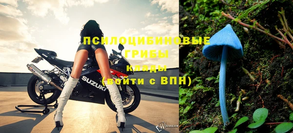 спайс Осташков