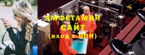 шишки Няндома