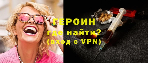 шишки Няндома