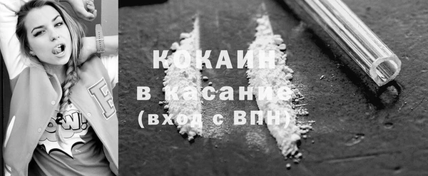 шишки Няндома