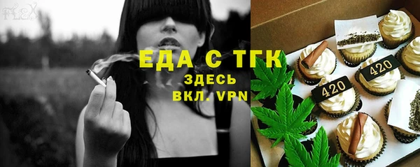 шишки Няндома