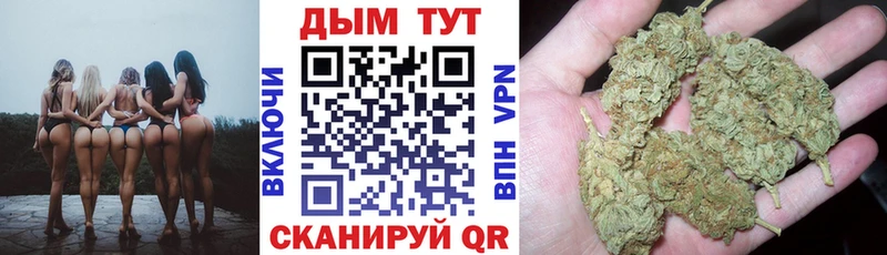 Бошки Шишки план  Катав-Ивановск 